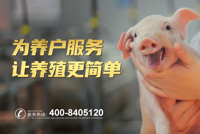 专做好饲料